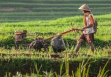 Peningkatan Peran Sains dan Teknologi untuk Pertanian Indonesia